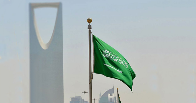 البرنامج الوطني لتطوير الثروة الحيوانية يُعلن عن خطط لرفع إنتاج حليب الأبقار