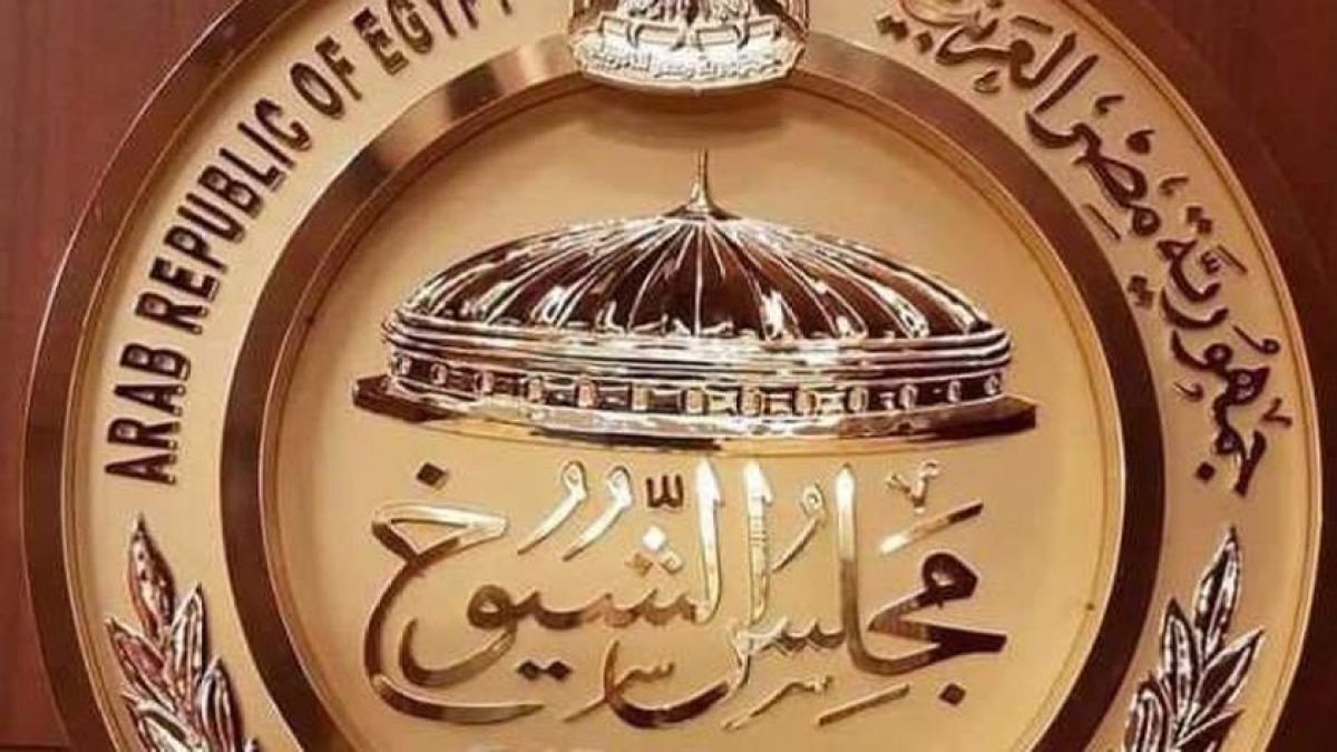 انطلاق انتخابات مجلس الشيوخ المصري في الخارج